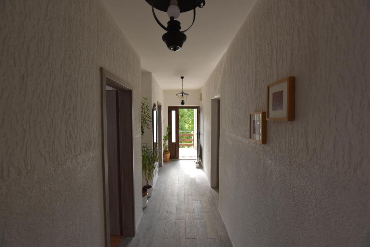 Apartments Frkovic Ledenice Экстерьер фото