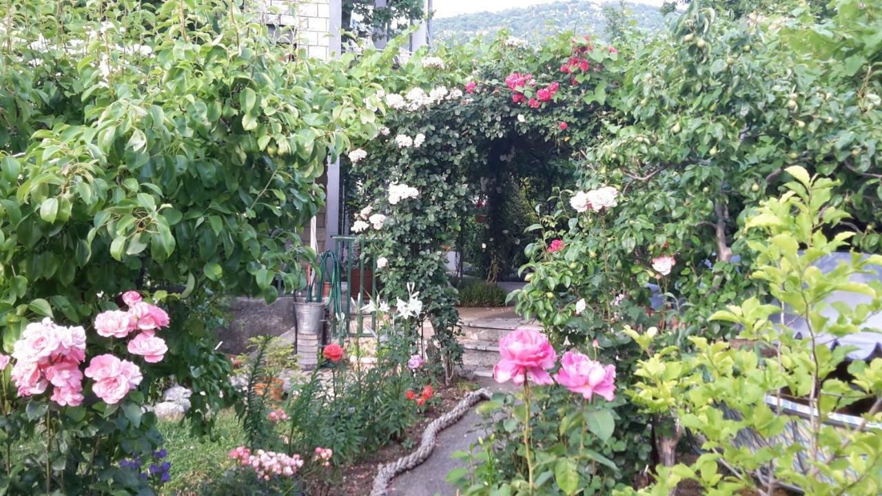 Apartments Frkovic Ledenice Экстерьер фото