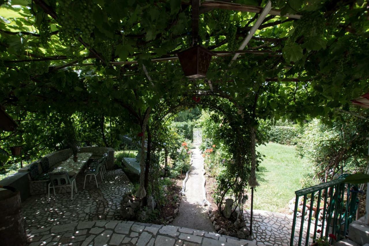 Apartments Frkovic Ledenice Экстерьер фото