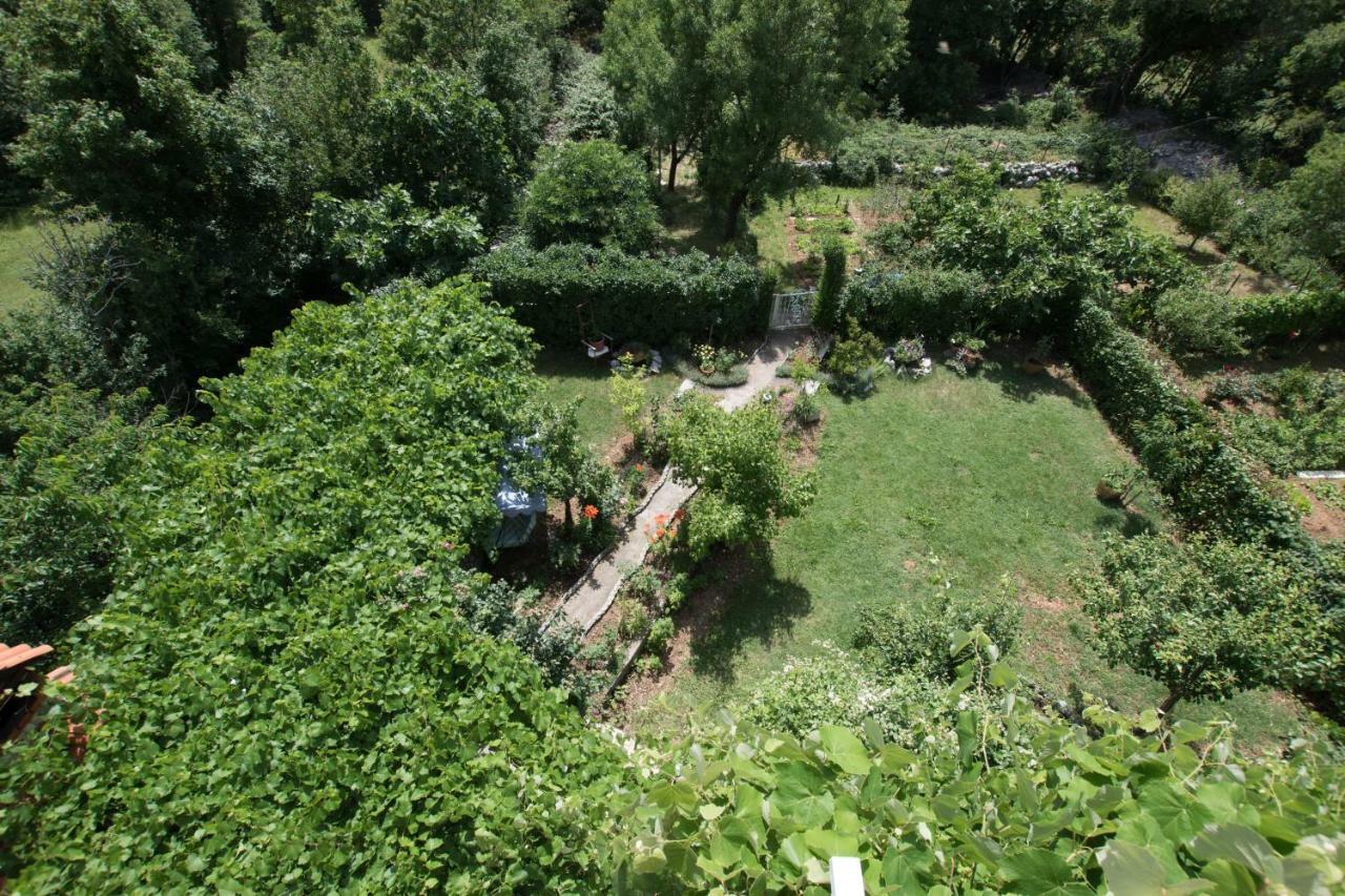 Apartments Frkovic Ledenice Экстерьер фото