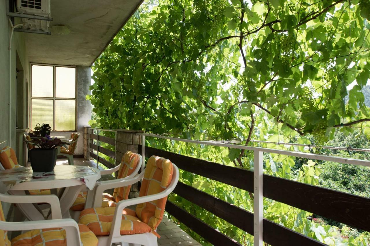 Apartments Frkovic Ledenice Экстерьер фото