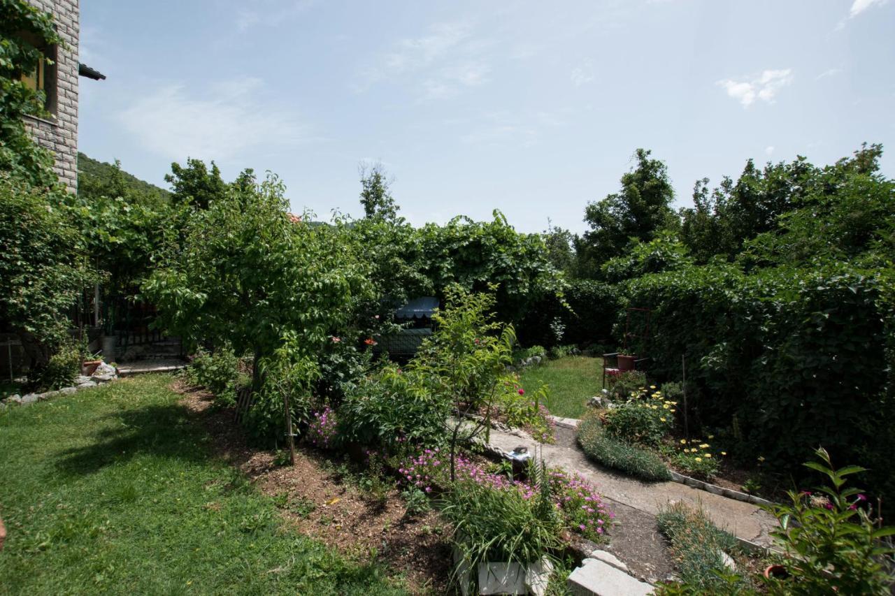 Apartments Frkovic Ledenice Экстерьер фото